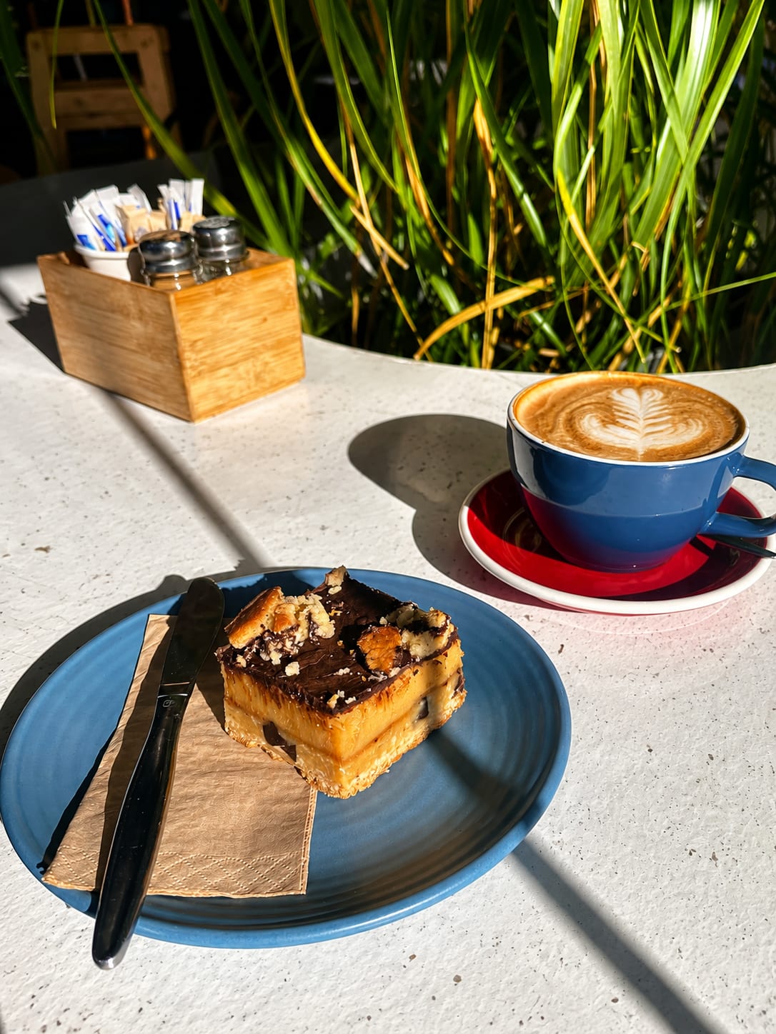 A blue coffee cup and cake beside Belle's indoor plants